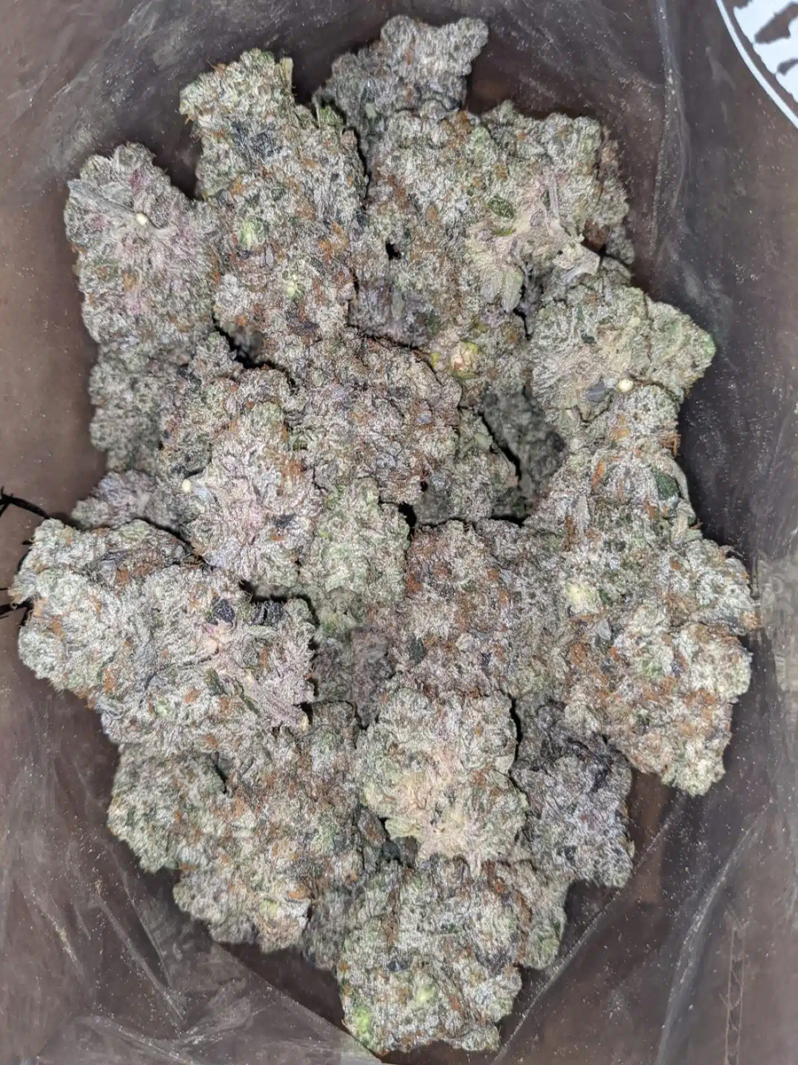 Skywalker OG