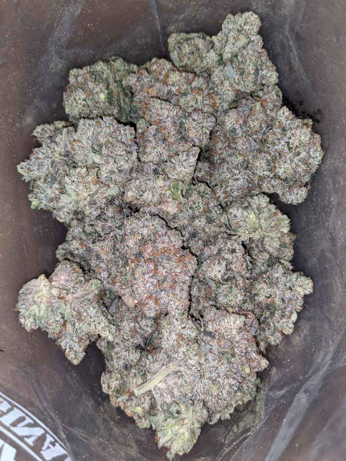 Pink Kush