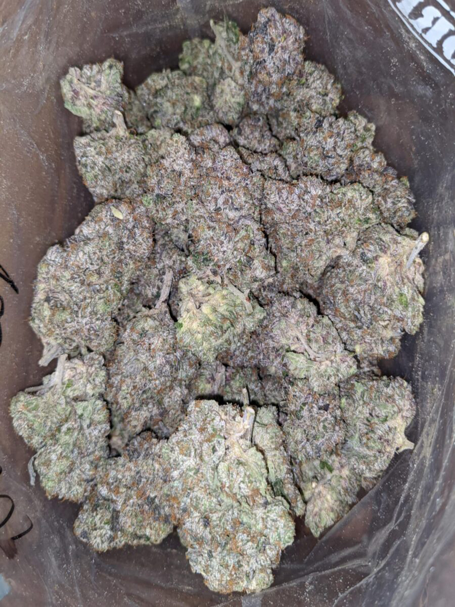 Purple Rockstar AAAA