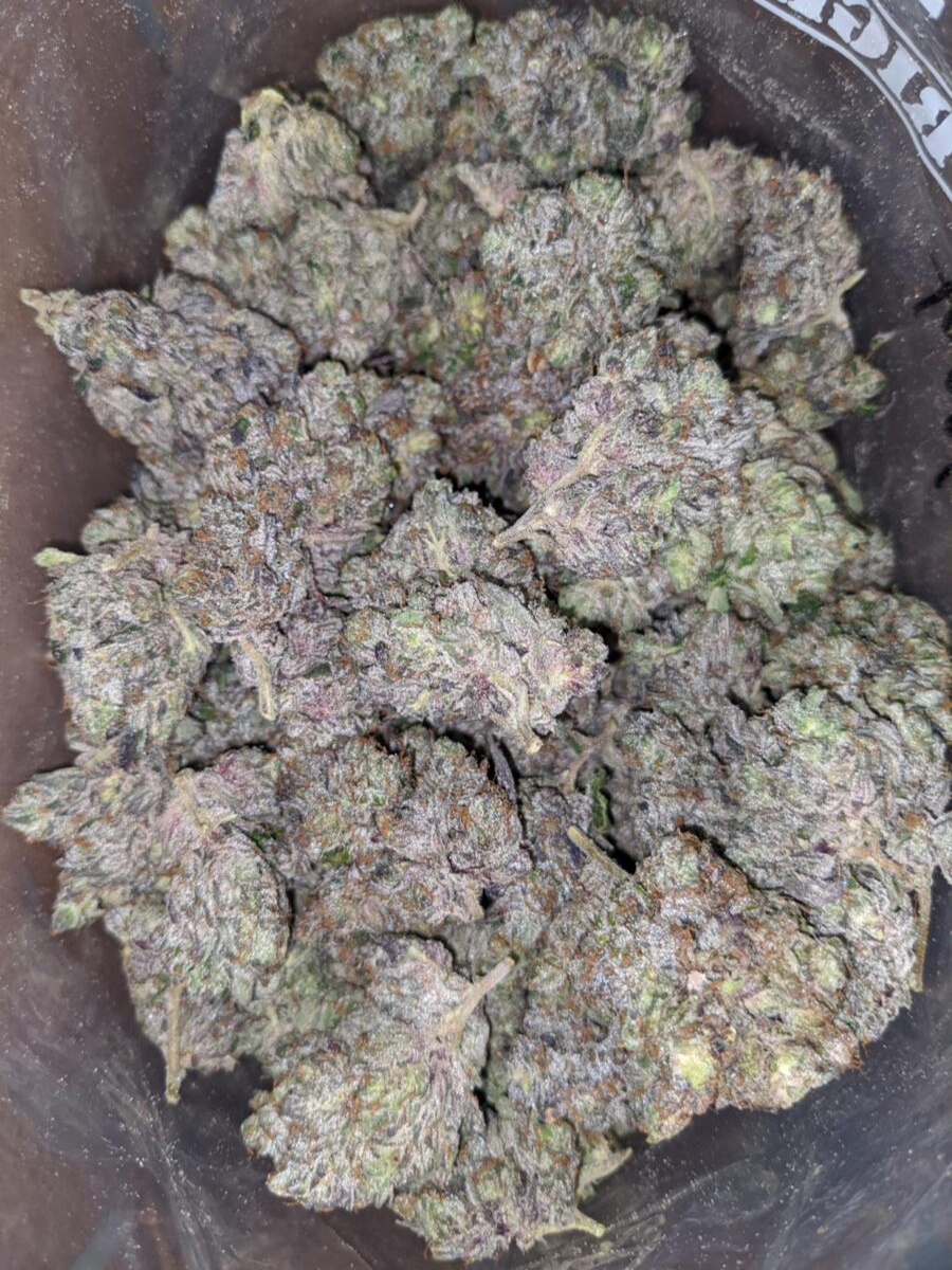 Purple Rockstar AAAA