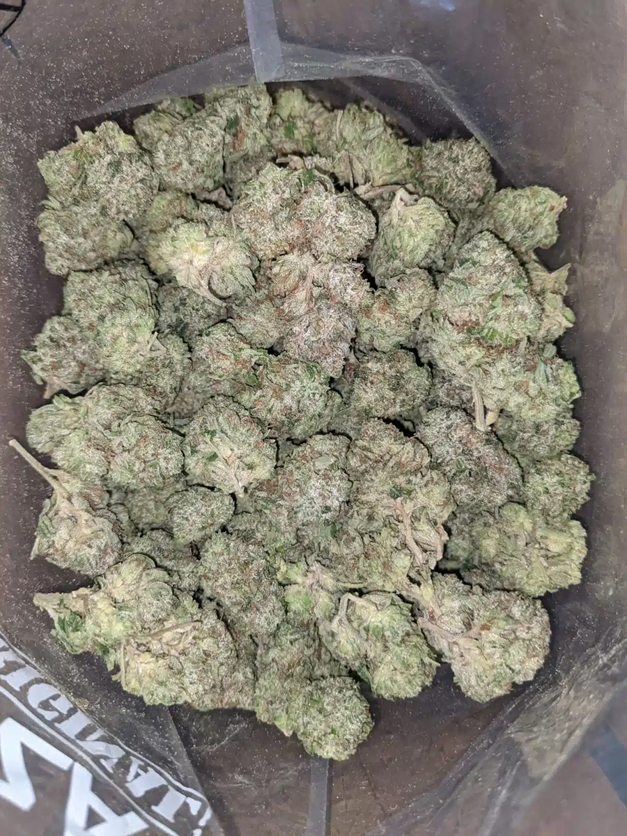 Pink Kush