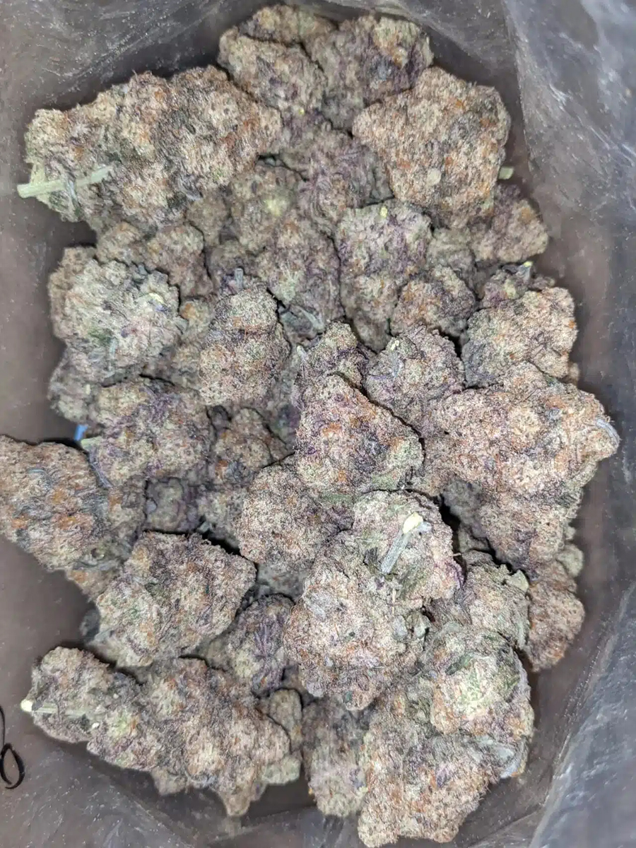 Purple Biscotti